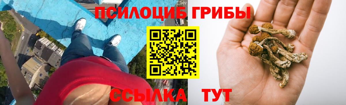 Галлюциногенные грибы MAGIC MUSHROOMS  Галлюциногенные грибы Magic Shrooms  Сегежа  Вход с VPN 